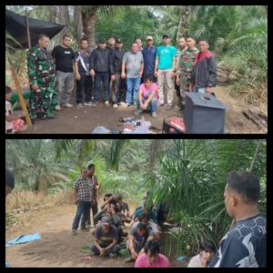 InCollage_20250129_191803672