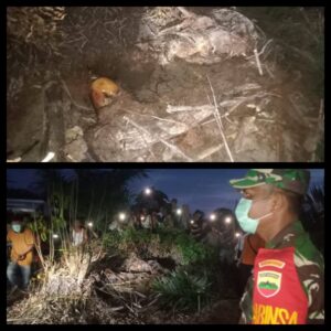 InCollage_20250211_153739601